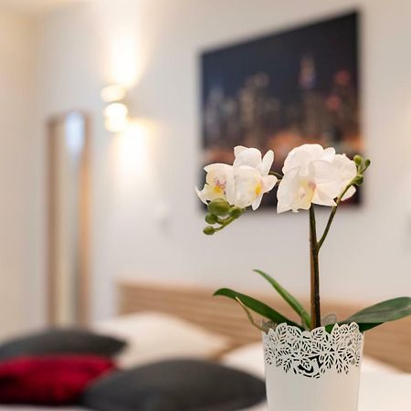 Citycosy Strasbourg - Studio Hirtz Orangerie Eksteriør billede