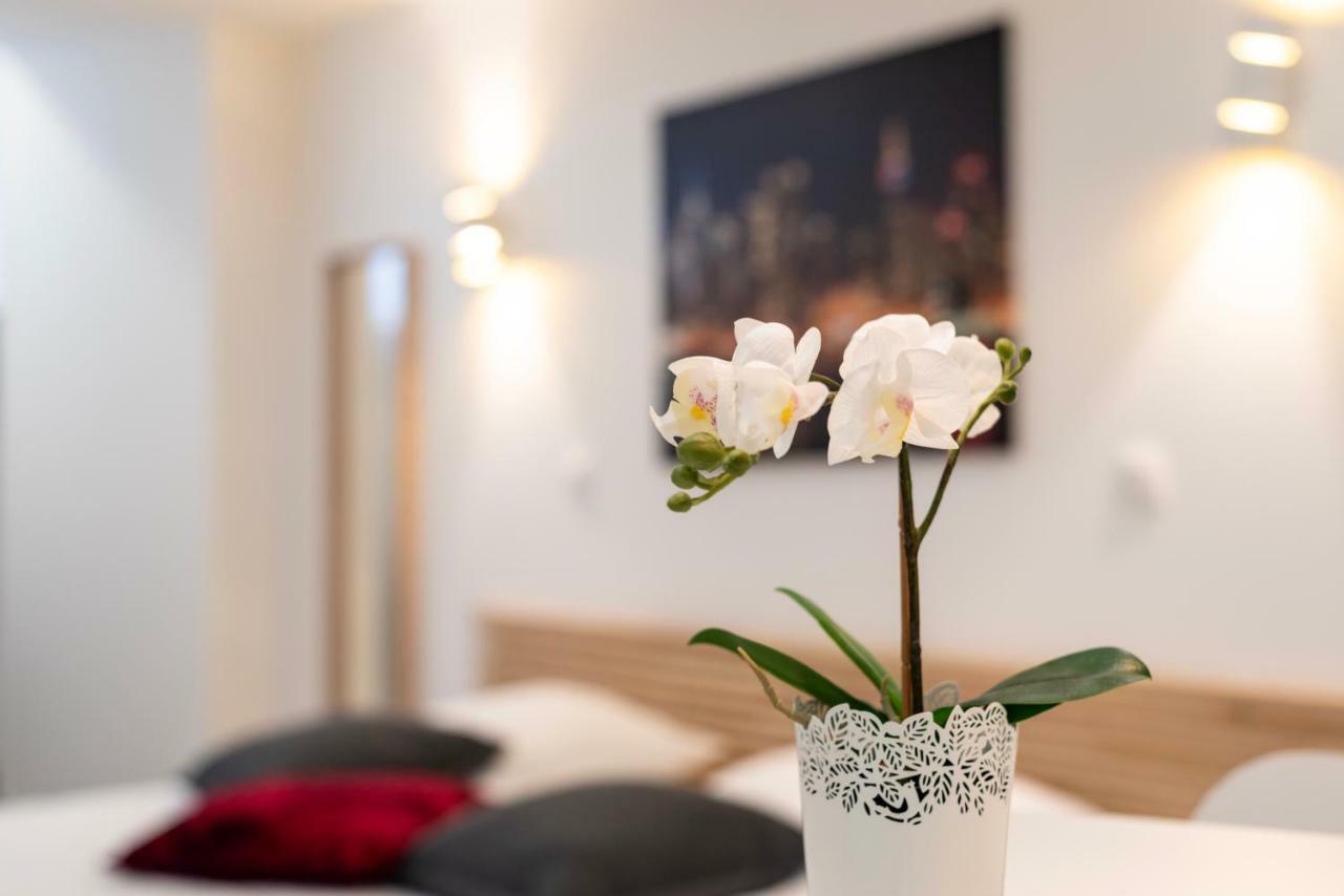 Citycosy Strasbourg - Studio Hirtz Orangerie Eksteriør billede